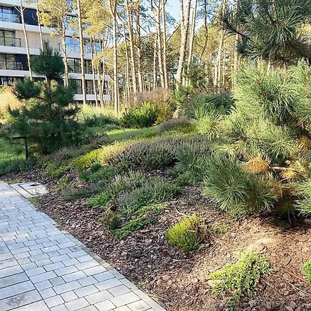 Shellter Prestige Przy Wydmie