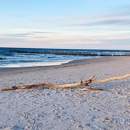 Shellter Prestige Przy Wydmie Daire Rogowo (Gryfice)