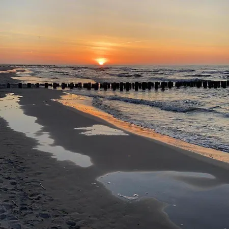 Shellter Prestige Przy Wydmie *