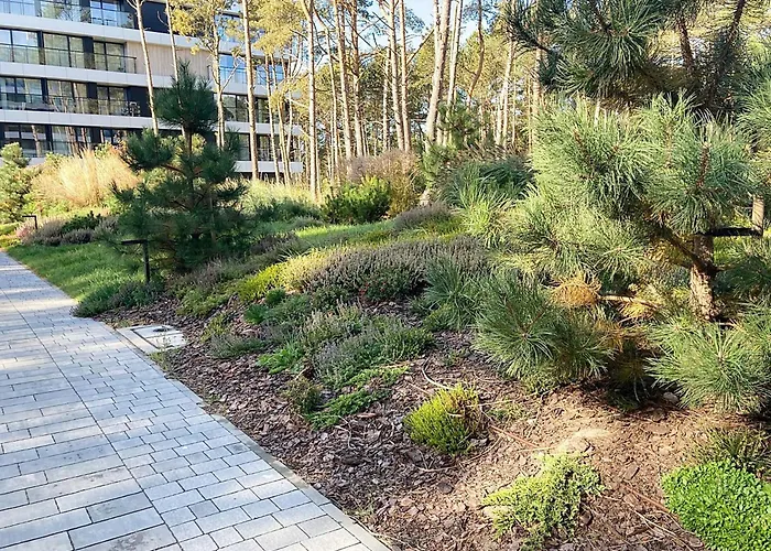 Shellter Prestige Przy Wydmie