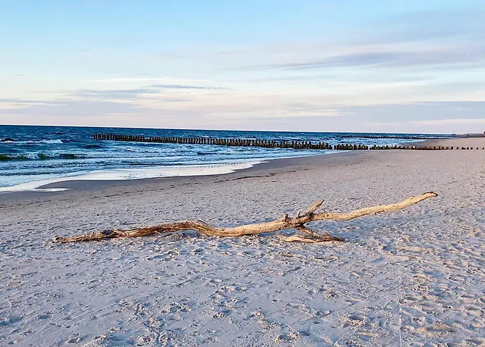 Shellter Prestige Przy Wydmie Διαμέρισμα Rogowo (Gryfice)